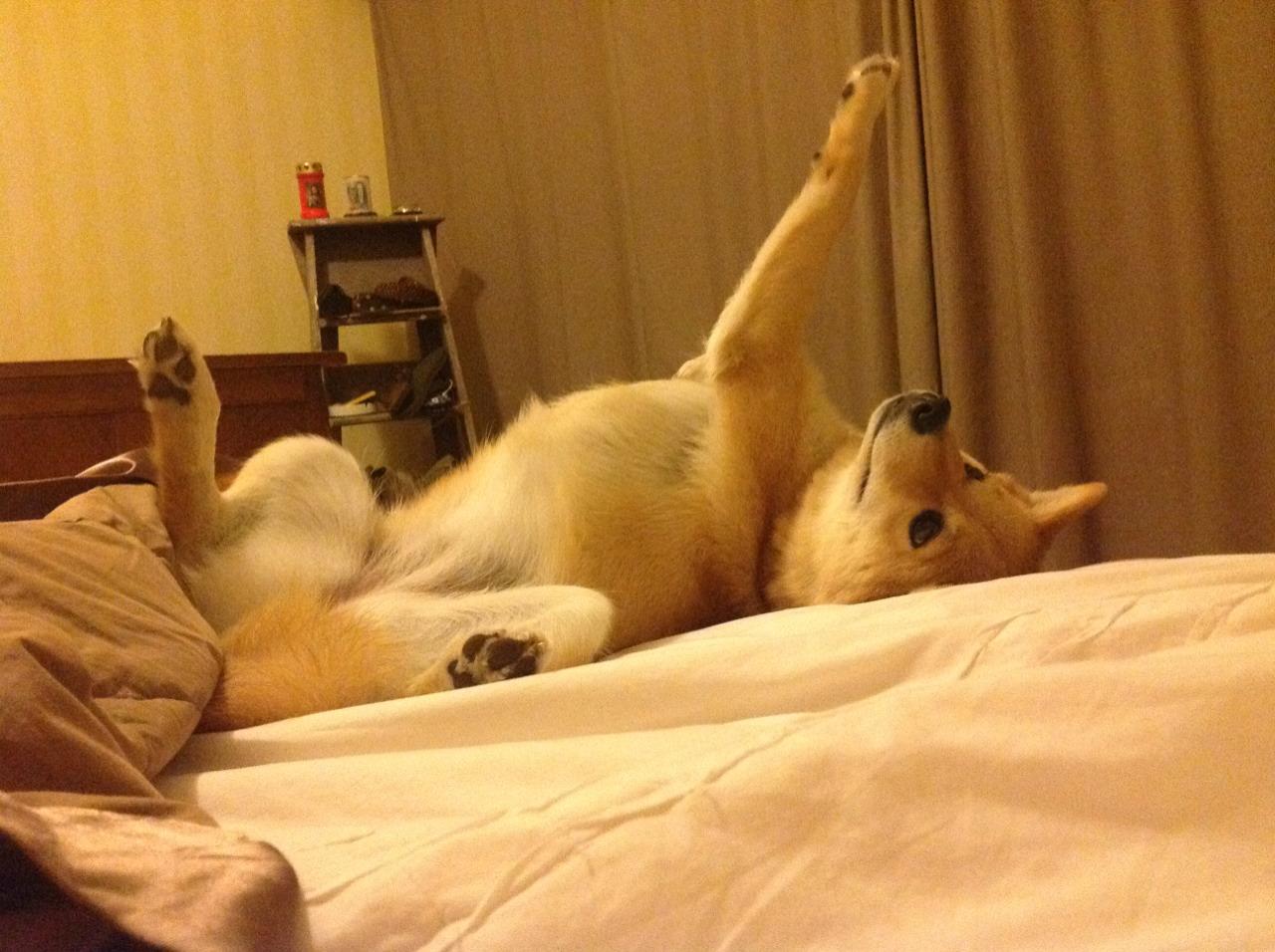 九游登录中心-“法甲劲旅豪情满满，冲击欧洲冠军”，法甲联赛冠军列表