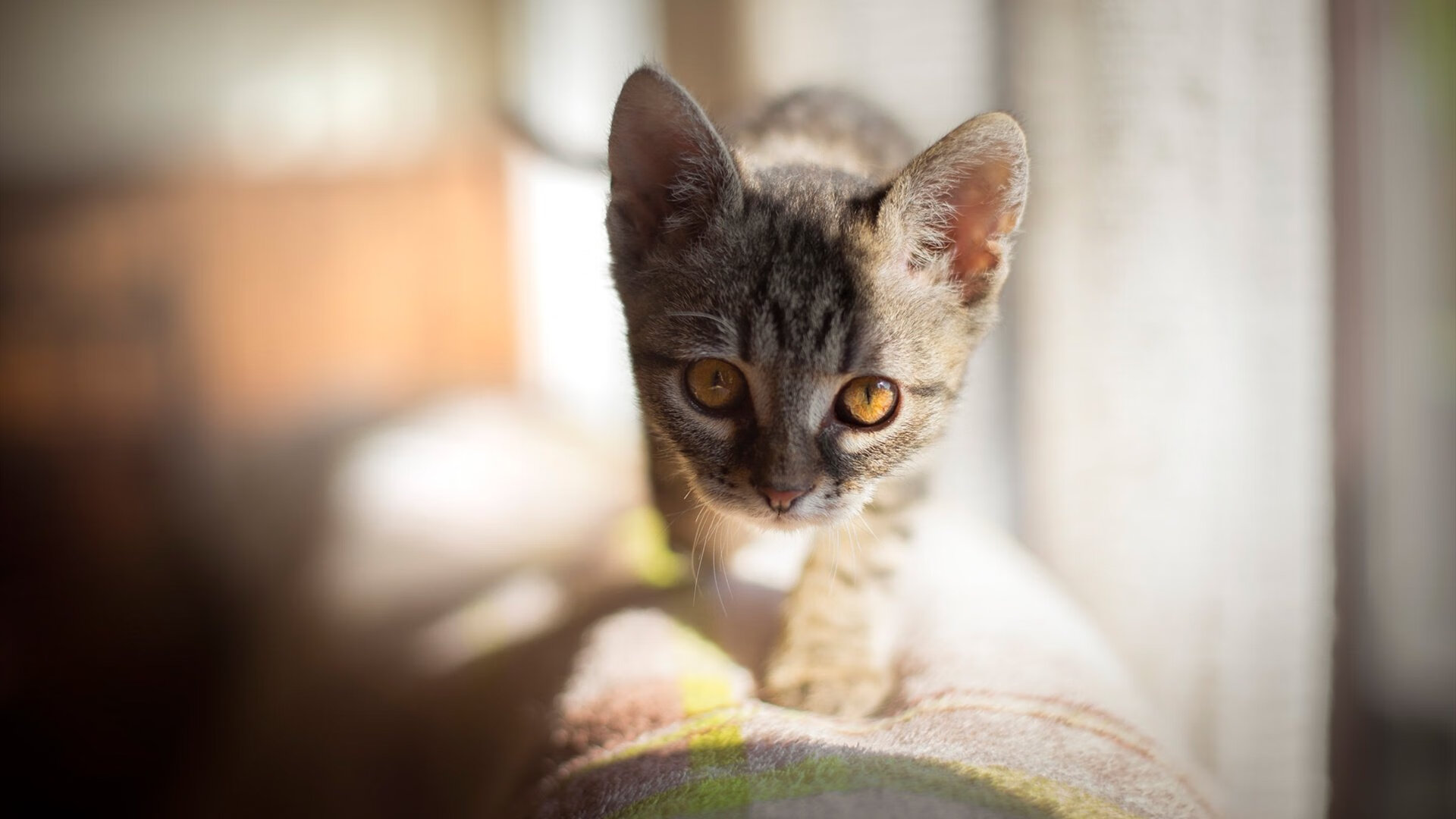 《《堡垒之夜》推出新“未来城市”季节，视觉震撼》，“堡垒之夜”